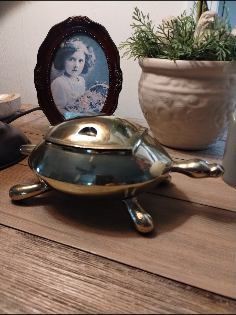 Vintage Brass Turtle 🐢 Trinket Dish with Lid